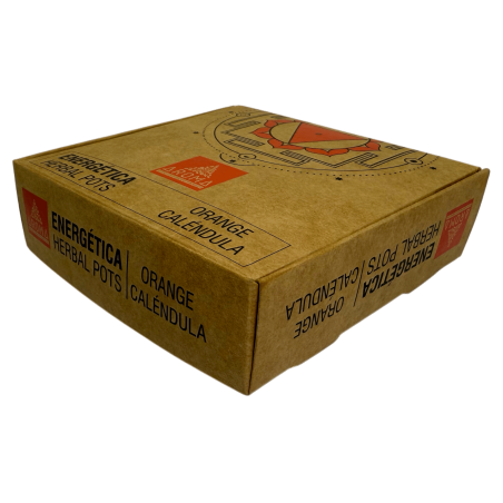 Copos de Resina Laranja, Vasos de Ervas de Calêndula, Fragrâncias AROMA Energéticas - 4 copos e suporte para queimador - Alegria