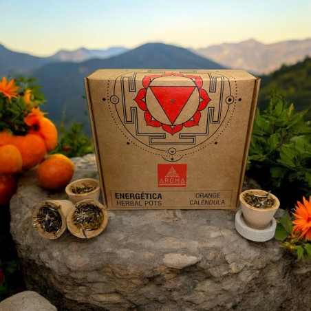 Orange Resin Cups Calendula Herbal Pots Energetic AROMA Fragrances - 4 cups and burner stand - Joy and Harmony