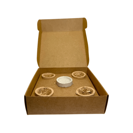Copos de resina de capim-limão, potes de ervas, fragrâncias AROMA energéticas - 4 copos e suporte para queimador - limpeza