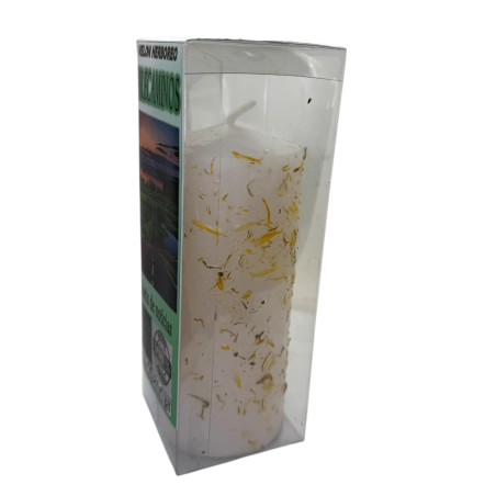 Örtljus Öppnar Vägar - Esoteriskt Ljus 14x6cm - Nyhetsutsändare