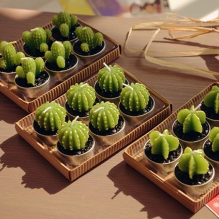 Juego de 6 Tealights Cactus Barril en Caja de Regalo  - 7