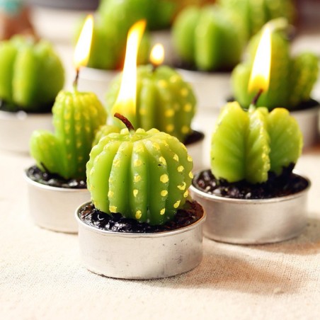 Juego de 6 Tealights Cactus Barril en Caja de Regalo  - 8