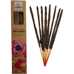 Encens Naturel Eau de Floride Ouvre les Chemins Namaste Inde - 1 boîte d'encens bio 25g - Ambre Naturel au Musc
