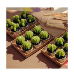 Juego de 6 Tealights Cactus Agave en caja de regalo - 7