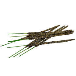 Biologische Wierook Kaneel AUM Geuren Smudge Sticks - 25gr.