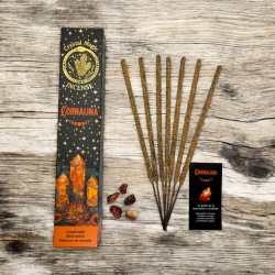Hari Darshan Karneol-Räucherstäbchen Tribal Soul Crystal Magic – 1 Packung mit 15 g Bio-Räucherstäbchen mit Mineralien