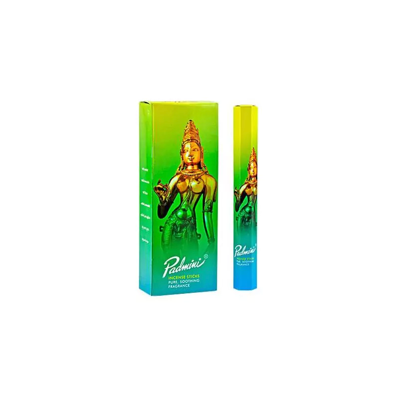 PADMINI Wierookdoosje met Beeldje, groene doos - 6 pakjes van 20 gram.-PADMINI WIEROOK-HOSTENATURA