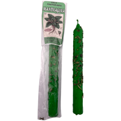 Candela di mandragola ritualizzata da 18 cm: protezione, purificazione, fertilità e amore.