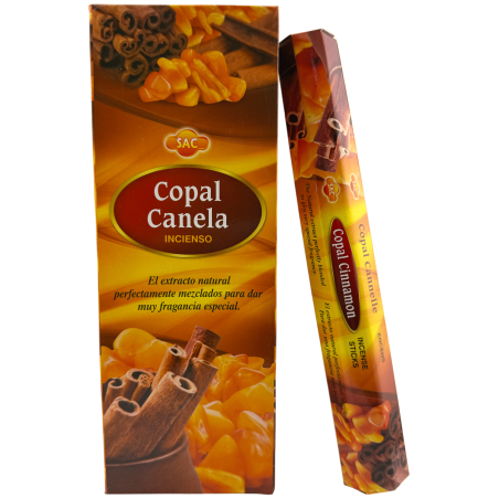 Encens à la cannelle SAC Copal - Boîte de 6 paquets hexagonaux de 20 bâtonnets chacun, soit 120 bâtonnets d'encens