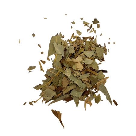 Esoteric Herbs Eucalyptus 30g – Energy Cleansing, Purification and Spiritual Protection
