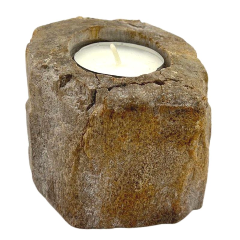 Petrified Wood Candle Holder - Single Low-WOODEN CANDLE HOLDER-HOSTENATURA