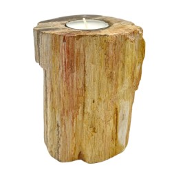 Petrified Wooden Candle Holder - Tall Bachelor