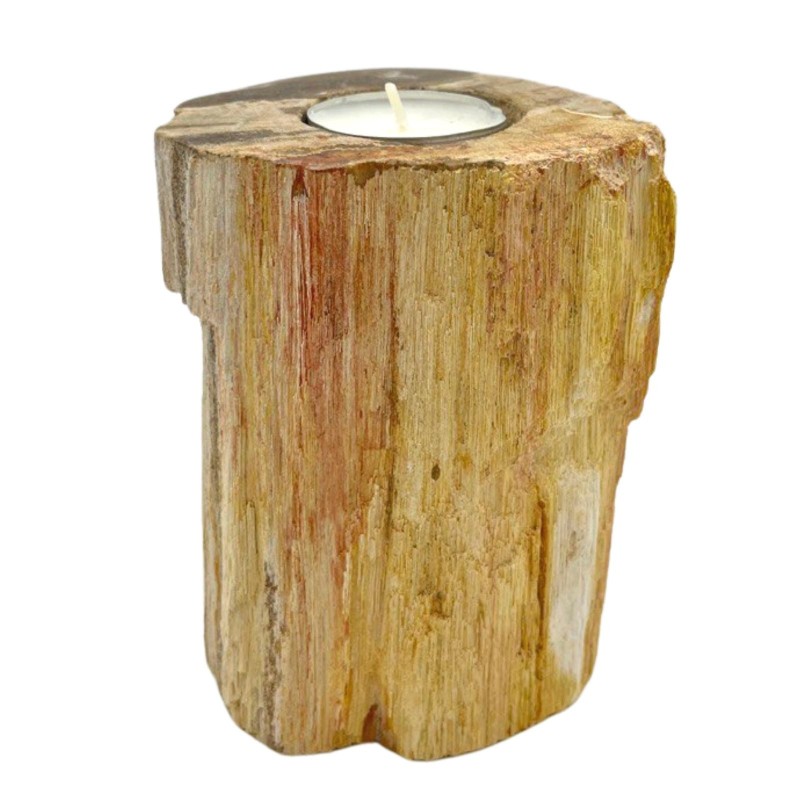 Petrified Wooden Candle Holder - Tall Bachelor-WOODEN CANDLE HOLDER-HOSTENATURA