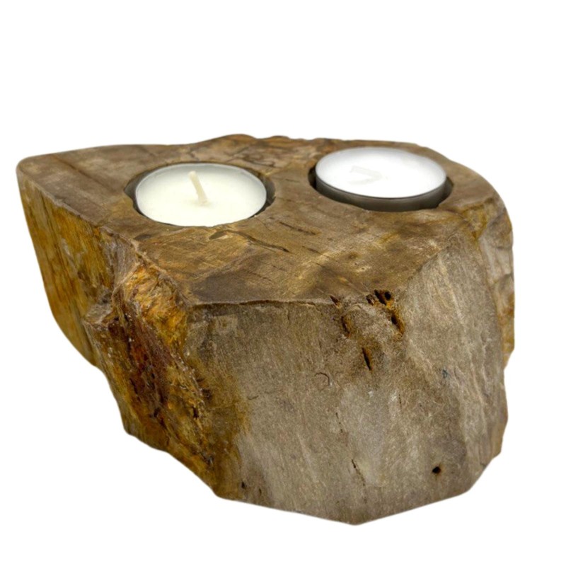 Petrified Wood Candle Holder - Double-WOODEN CANDLE HOLDER-HOSTENATURA