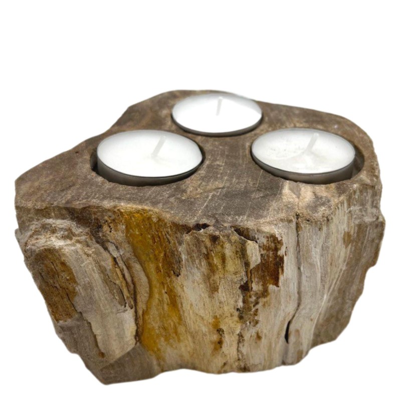 Petrified Wood Candle Holder - Triple-WOODEN CANDLE HOLDER-HOSTENATURA