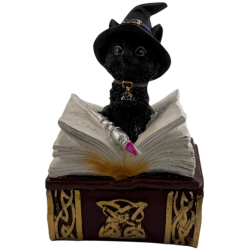 Figurka z żywicy Wicca Cat Witch w pudełku -...