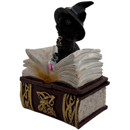 Figura Resina Wicca Gato Brujo en caja - 7x5,5x11cm