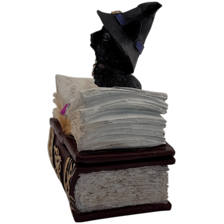 Figurka z żywicy Wicca Cat Witch w pudełku - 7x5,5x11 cm