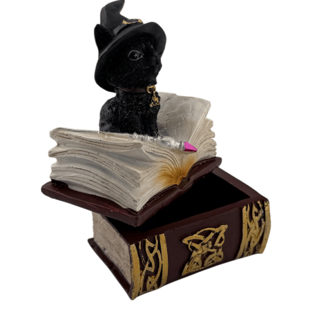 Figura Resina Wicca Gato Brujo en caja - 7x5,5x11cm