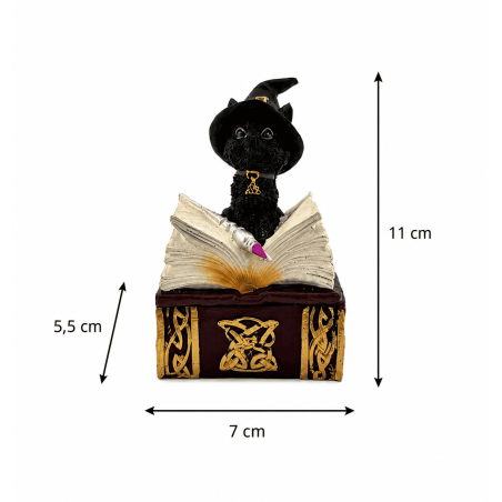 Figurină din rășină cu pisică vrăjitoare Wicca în cutie - 7x5.5x11cm