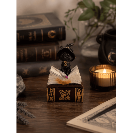 Wicca-Katzen-Hexenfigur aus Kunstharz in Box – 7 x 5,5 x 11 cm
