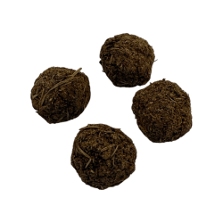 Wild Craft Golden Nag Vijayshree Rosmarin-Räucherbomben - 4 Stück