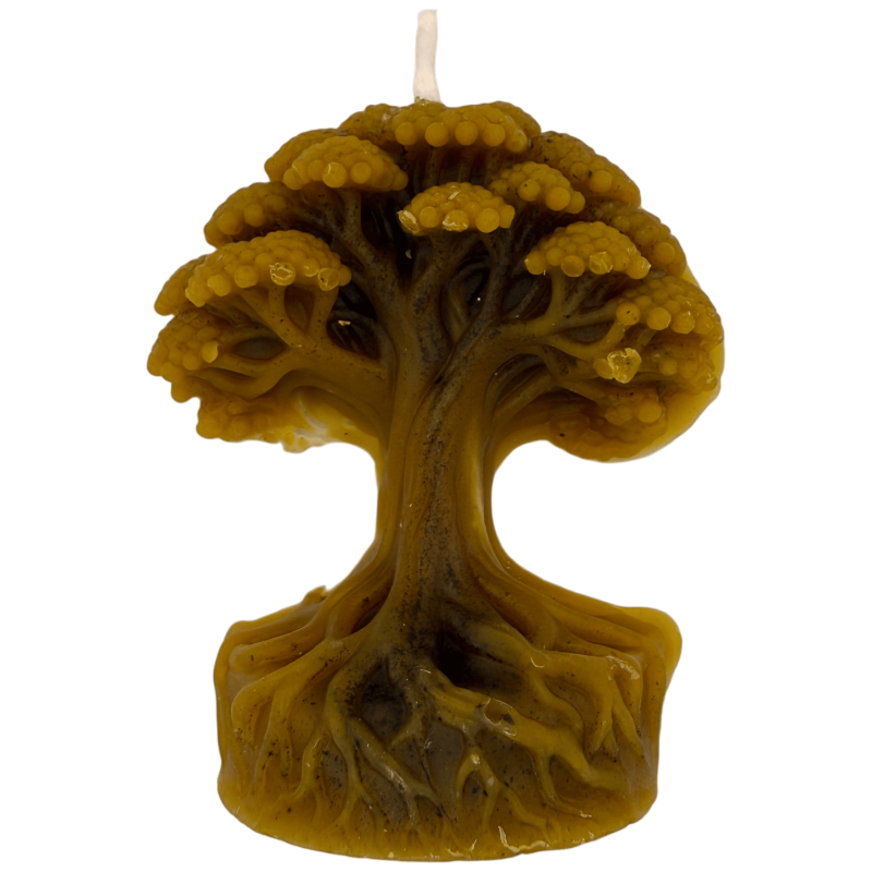 Honey Tree of Life Candle 8x5cm-Natural Honey Candles - Beeswax-HOSTENATURA
