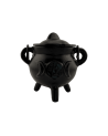 Wicca Iron Cauldron Burner...