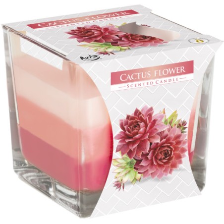 Vela Tarro Arcoíris - Flor de cactus  - 1
