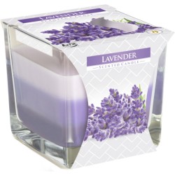 Vela Tarro Arcoiris - Lavanda - Bispol - 8x8x8cm - 1