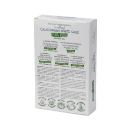 Olie aromatiche a base di piante - Salvia bianca californiana 10 ml