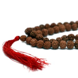 108 Rudraksha Japa Mala - Marron - 2