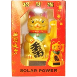 Money Cat - Solar Energy