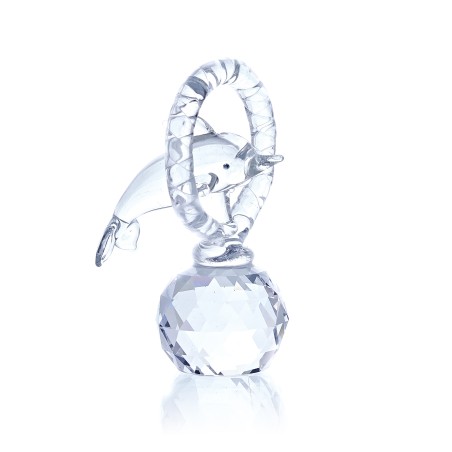 Dolphin Jumping Through the Hoop (small)