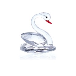 Cisne Branco