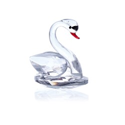 Cisne Branco