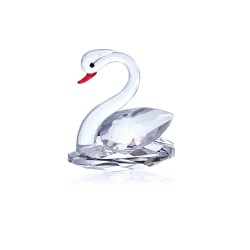 Cisne Branco