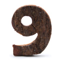 Numero di corteccia rustica - "9" (12) - Piccolo 7 cm