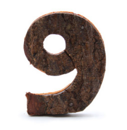 Número de corteza rústica - "9" (12) - Pequeño 7cm