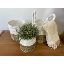 Conjunto Cesto de Algas - Branco Natural