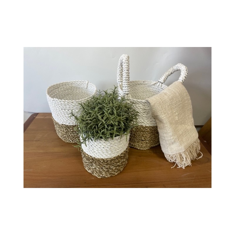 Conjunto Cesto de Algas - Branco Natural-CONJUNTO CESTA DE ALGAS MARINHAS-HOSTENATURA