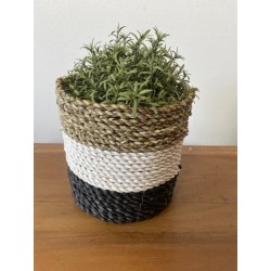 Seaweed Basket Set - Dark Grey / White / Natural