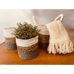 Conjunto Cesto de Algas - Cinza/Natural/Branco