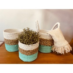 Conjunto Cesto de Algas - Verde/Natural/Branco