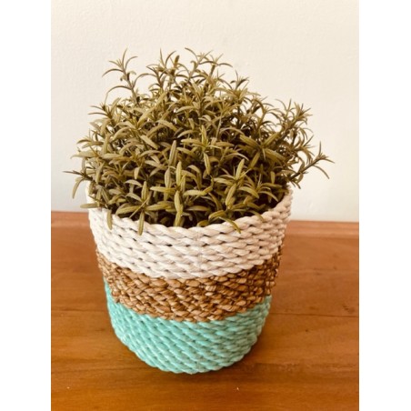 Set coș cu alge marine - verde/natural/alb