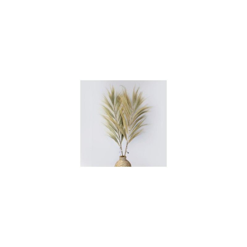 Rayung Blonde Palmboom - 1.6m-RAYUNG-PALM-HOSTENATURA