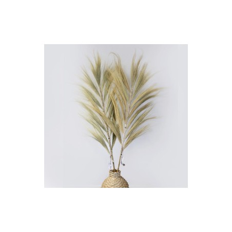 Palma Rayung Blonde - 1.6m