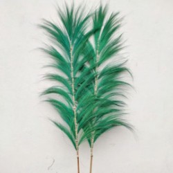 Green Rayung Palm - 1.6m