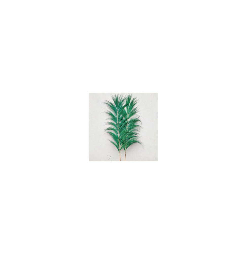 Palmera Verde de Rayung - 1.6m