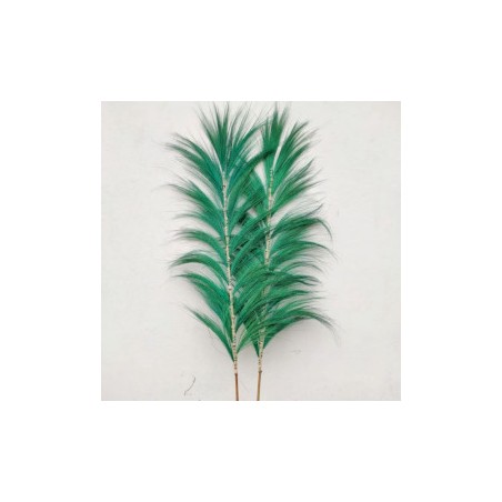 Green Rayung Palm - 1.6m